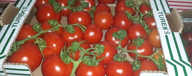 Статистика: Белоруссия стала основным покупателем турецких помидоров