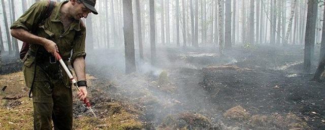 В Иркутске набирают добровольцев для тушения лесных пожаров