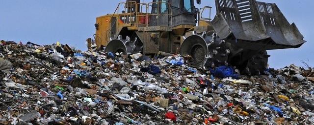 Эксперт предрек Киеву экологическую катастрофу из-за мусора