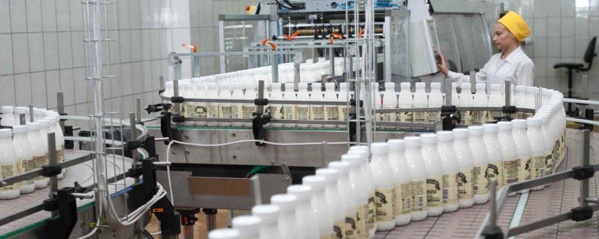 Ивановские аграрии намерены войти в число лидеров РФ по выпуску молока