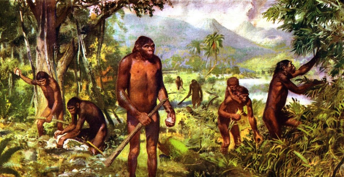 Предки человека ходили на двух ногах, когда жили еще на деревьях