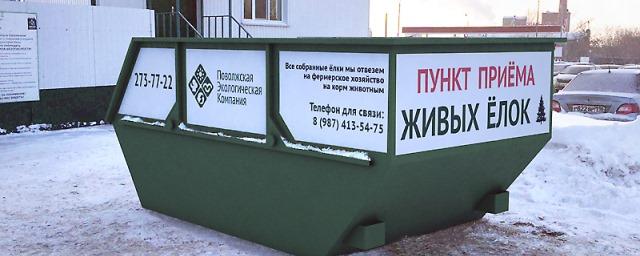 В Казани открыли пункт утилизации новогодних елок