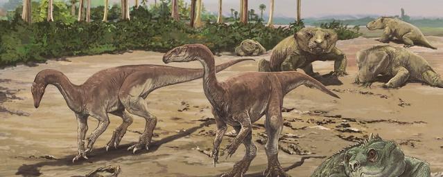 Ученые из Бразилии открыли новый вид динозавров