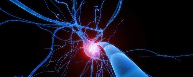 Ученые выявили клетки в мозгу, отвечающие за судороги при эпилепсии