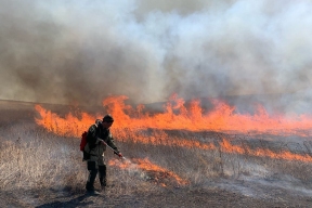 Патрули МЧС в Забайкалье выявили семь виновников пожаров, среди нарушителей были и дети