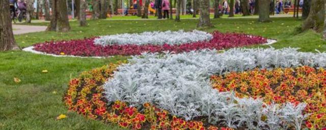 В парках Москвы посадят 700 тысяч ярких цветов