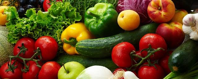 В России студенты нашли способ повысить урожайность овощей