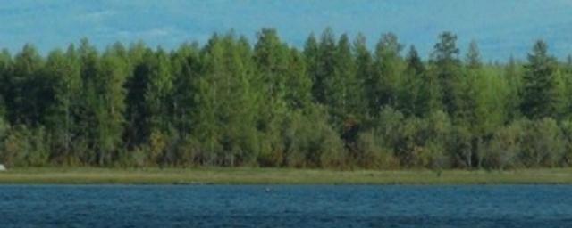 В Якутии в озере нашли тела двух коневодов