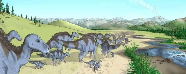 Ученые: Динозавры редко доживали до взрослого возраста
