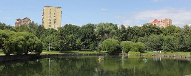 Власти Подмосковья отказались застраивать химкинский парк «Дубки»