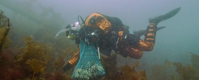 У берегов США обнаружено древнее подводное захоронение