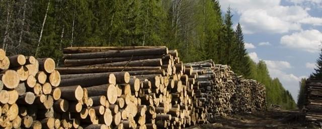 В Рязанской области незаконно вырубили деревья на 15 млн рублей