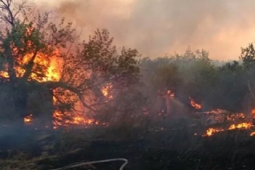 По факту двух лесных пожаров в Рязанской области возбуждено уголовное дело