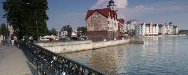 Мэр Калининграда поручил срезать замки молодоженов с Медового моста
