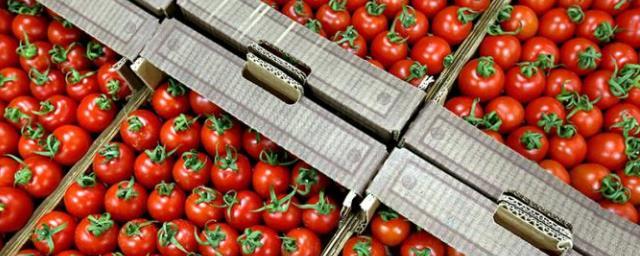 Россельхознадзор одобрил поставки томатов еще двум предприятиям Турции