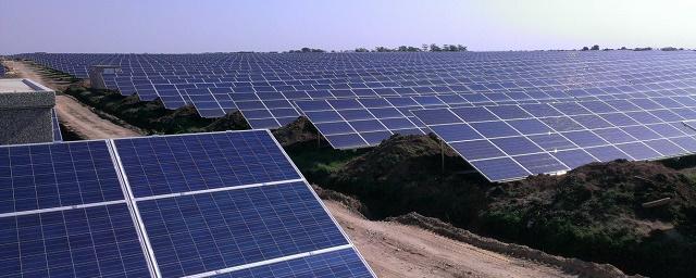 В зоне отчуждения ЧАЭС начали строить солнечную электростанцию