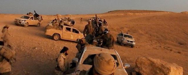 Террористы ИГ после поражения вывезли из Ирака $400 млн
