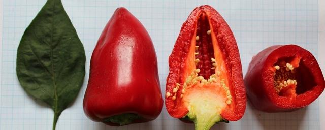 В Сибири ученые вывели новые сорта томата и сладкого перца