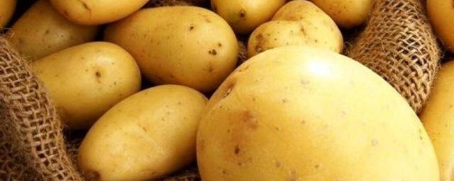 Китай планирует вырастить на Луне картофель и шелкопряда