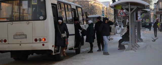 В Ельце водитель автобуса высадил из салона 9-летнюю девочку в мороз