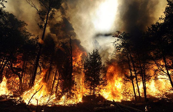 В Красноярском крае из-за пожаров 530 человек остались без жилья