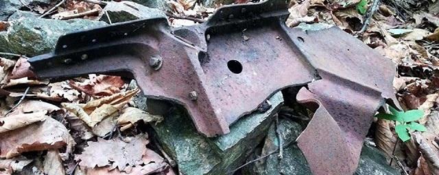 В приморском Ботаническом саду обнаружили обломки советского самолета