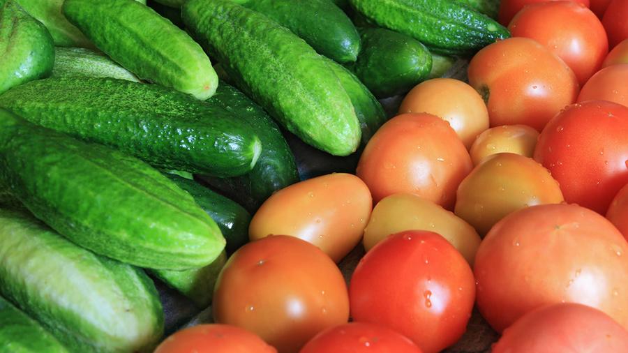 Россельхознадзор может ограничить ввоз томатов и огурцов из Армении