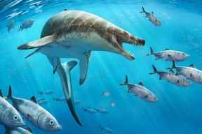 Палеонтологи открыли новый вид хищных морских динозавров