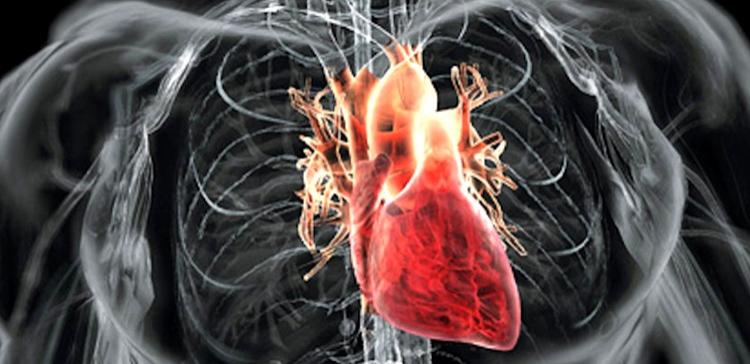 Ученые назвали топ-5 самых вредных для сердца продуктов