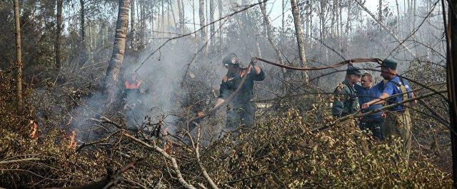В Красноярском крае площадь лесных пожаров выросла на 10,7 тысячи га