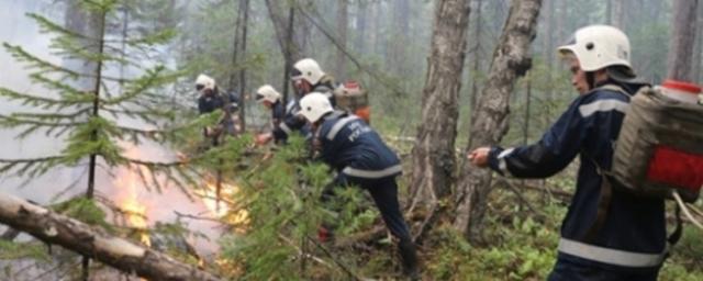 В Бурятии за выходные пожарные ликвидировали шесть лесных пожаров