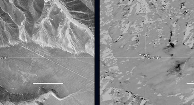NASA показало новые снимки гигантских геоглифов в Перу