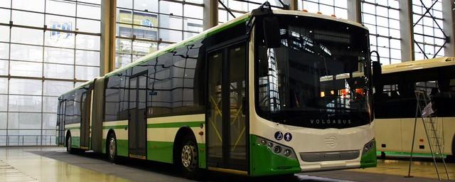 Тольяттинский автопарк пополнили 60 новых автобусов Volgabus