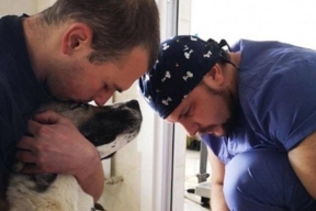 Новосибирские ветврачи в течение трех дней будут бесплатно стерилизовать собак во  Владикавказе