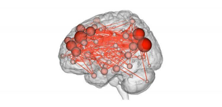 Ученые смогли идентифицировать личность по снимку сигналов мозга