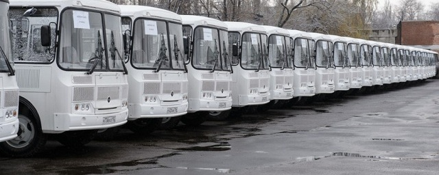 Воронежские частные перевозчики приобрели 88 автобусов