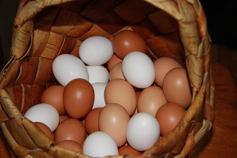 Россельхознадзор: Зараженные яйца из ЕС не могли попасть в Россию