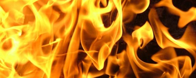 В Новоузенске при пожаре в квартире погибли две женщины