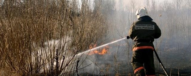 На юге Башкирии объявлен повышенный класс пожароопасности