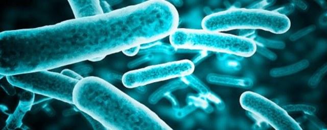 Ученые выявили в крови человека смертельно опасные «спящие» бактерии