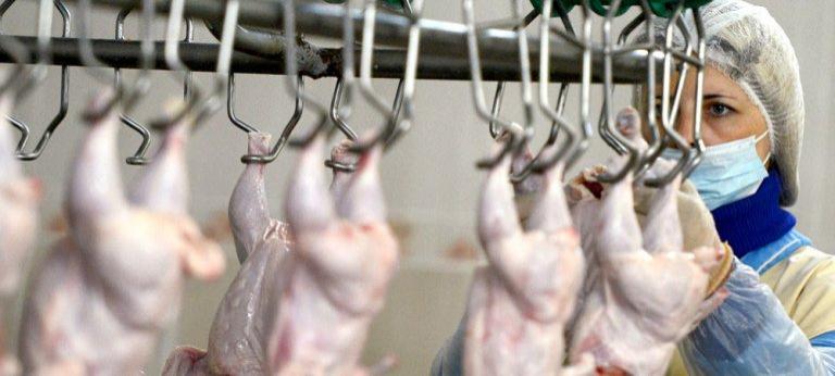 Белоруссия ограничила поставки мяса в Россию