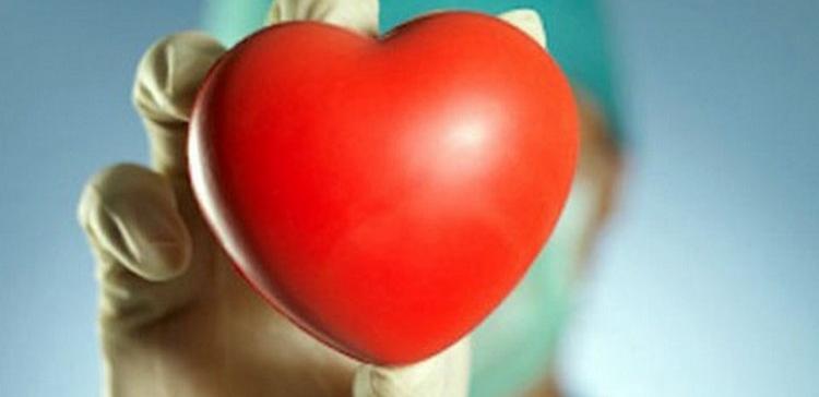 Ученые разработали аппарат, позволяющий сердцу биться вне тела