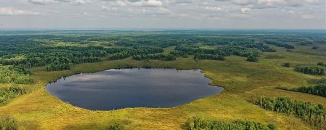 Российские ученые создали водный беспилотник для исследования озер
