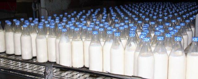 Россия и Белоруссия проведут переговоры по «молочной проблеме»