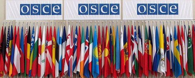 ОБСЕ: Референдум в Турции прошел не по стандартам Совета Европы