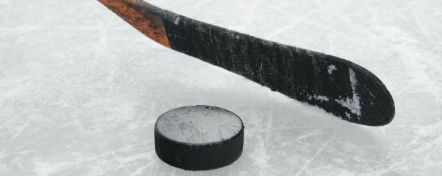 В Омске во время хоккейного матча скончался игрок