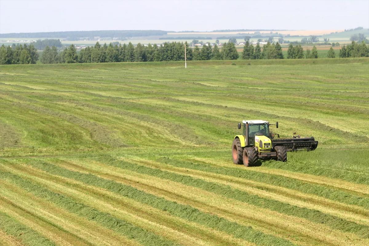 Тува выполнила план по заготовке кормов для скота почти на 100%
