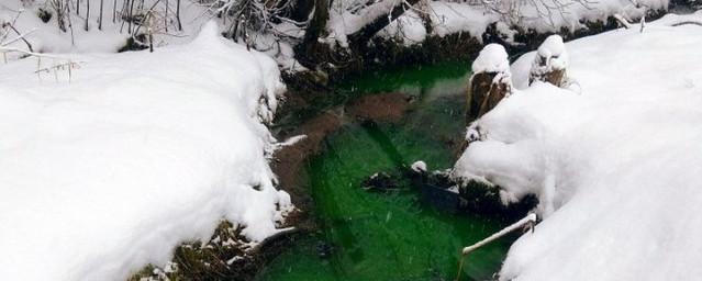 В Смоленске обнаружили ярко-зеленый ручей