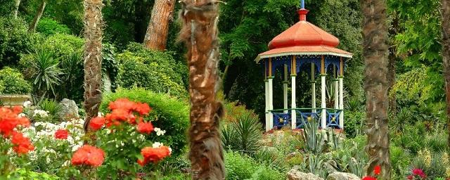 В Никитском ботаническом саду откроется выставка «Крымское лето»