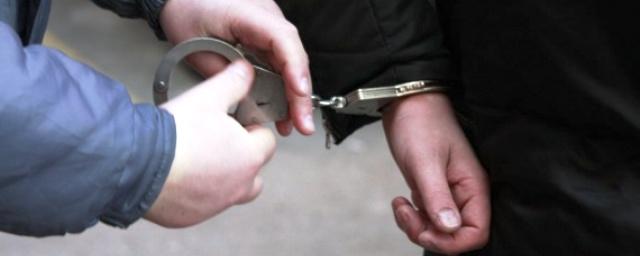 В Нижнем Новгороде задержан 28-летний грабитель-рецидивист